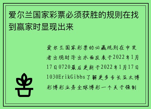 爱尔兰国家彩票必须获胜的规则在找到赢家时显现出来 